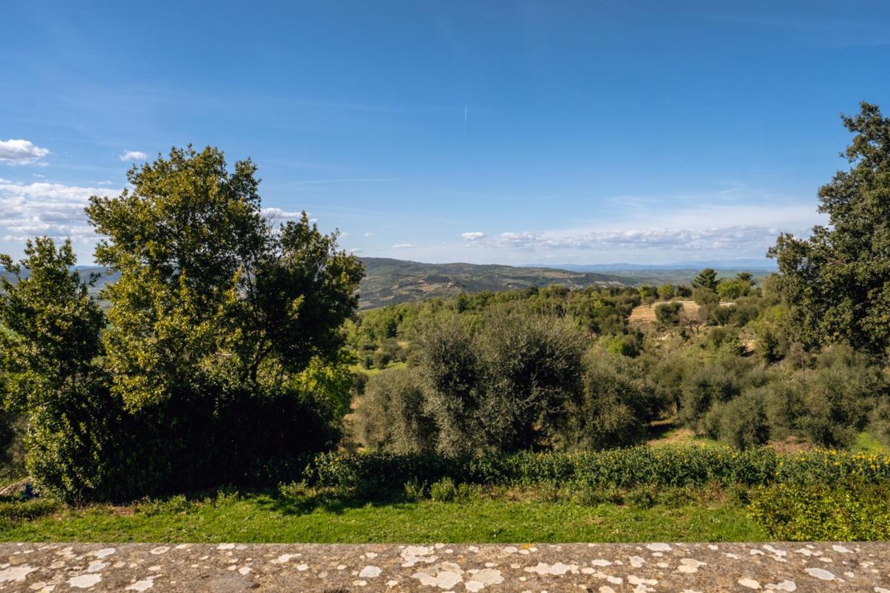 Podere Montale Il Borgo Seggiano Bagian luar foto