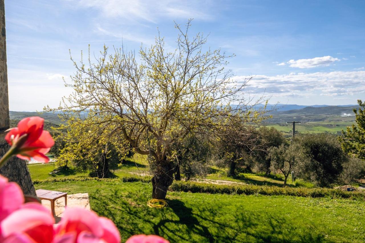 Podere Montale Il Borgo Seggiano Bagian luar foto
